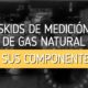 Skids de medición de gas natural