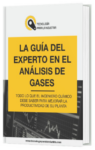 La Guía del Experto en el Análisis de Gases