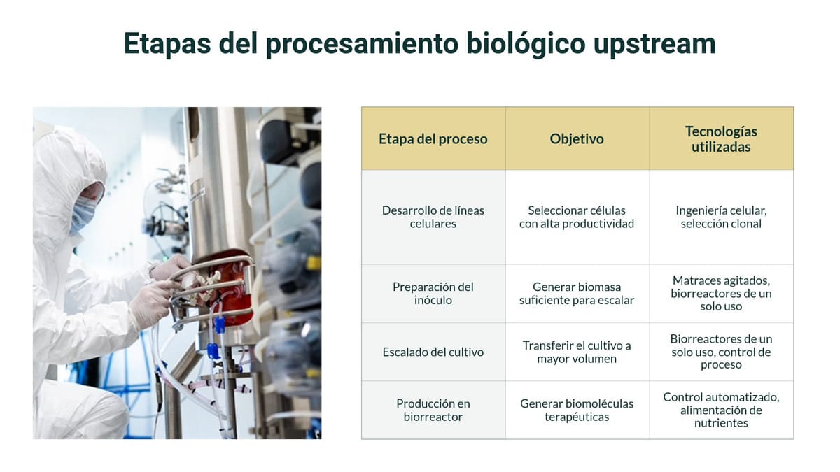 Etapas del procesamiento biológico upstream